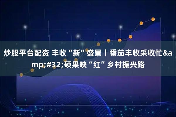 炒股平台配资 丰收“新”盛景丨番茄丰收采收忙&#32;硕果映“红”乡村振兴路